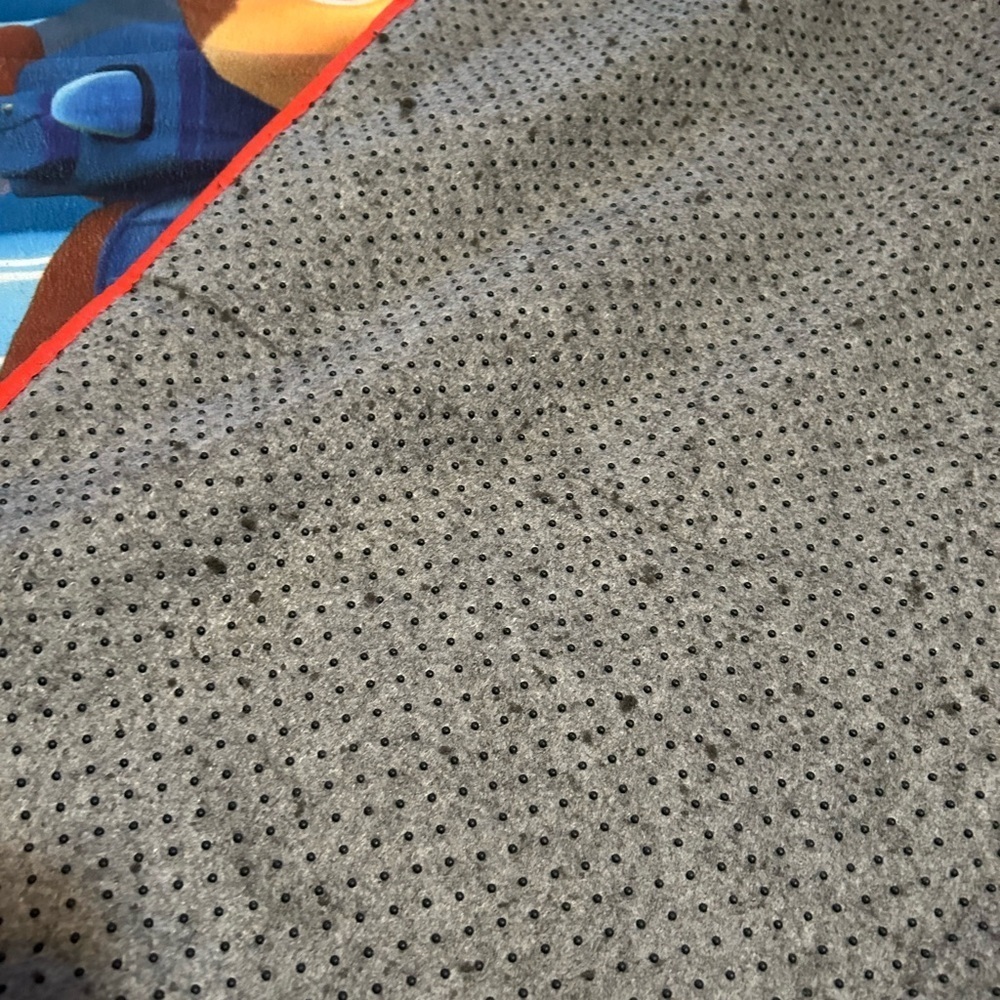 Paw Patrol Rug - Picture 8 of 11